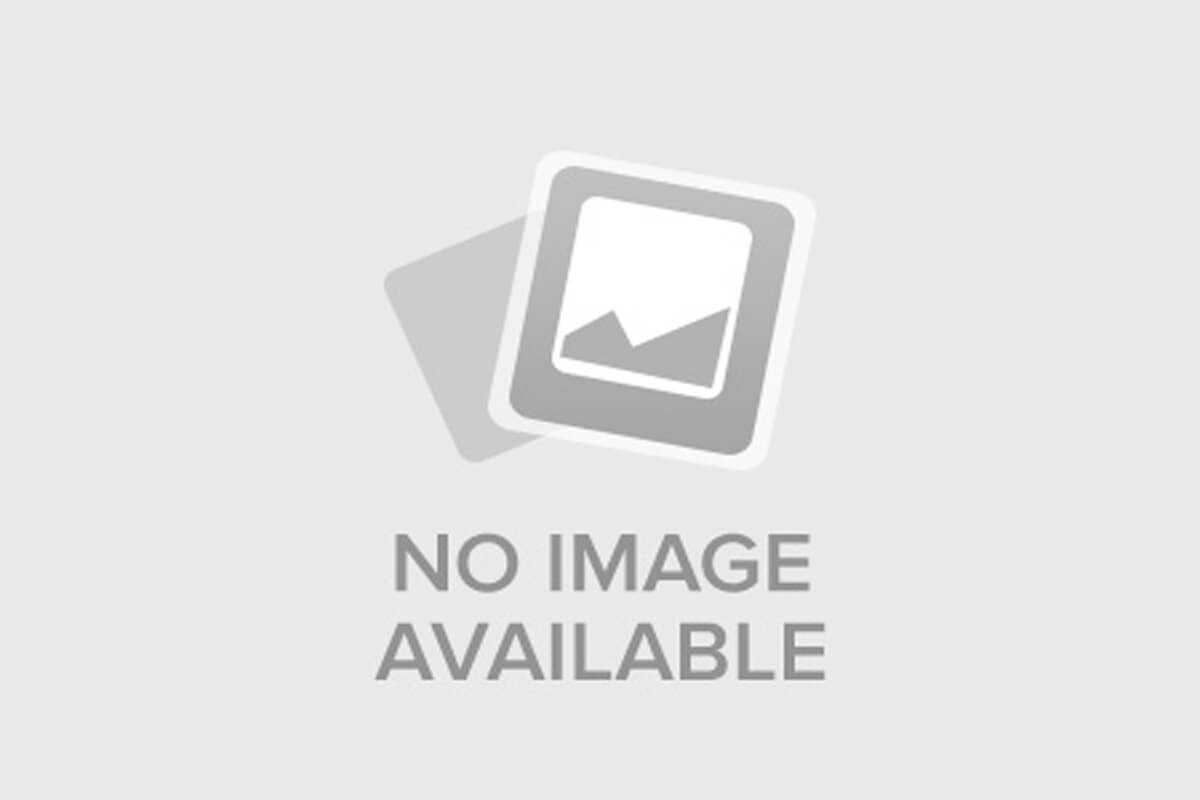 Холодная гавань