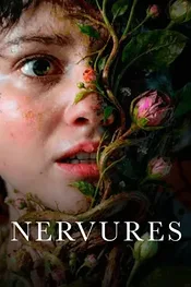 Вены