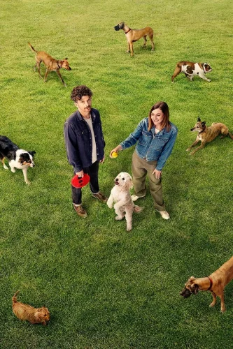 Собачья площадка